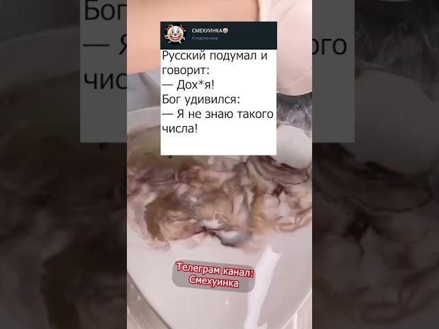 ДОХ#Я - ЭТО СКОЛЬКО?  #анекдот #анекдоты #пранк #прикол #приколы #смех #угар #юмор #рофл #шутки