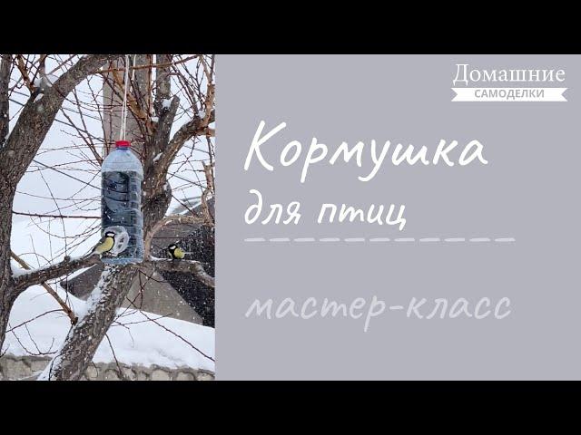 Кормушка для птиц из пластиковой бутылки своими руками