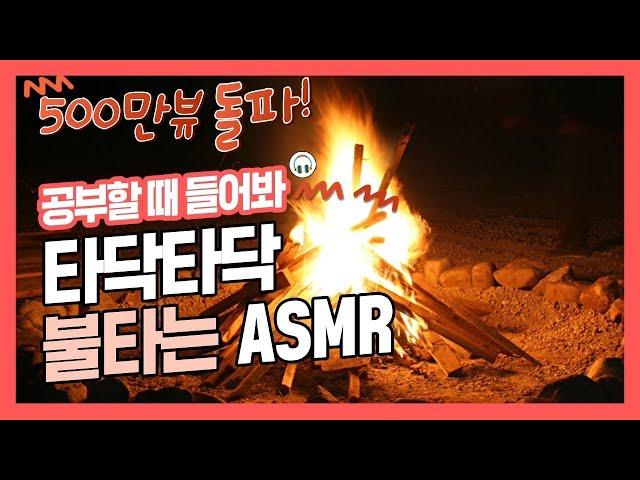 [집중력 높이는 소리] 장작 소리 효과음 백색소음 ASMR  공신 강성태