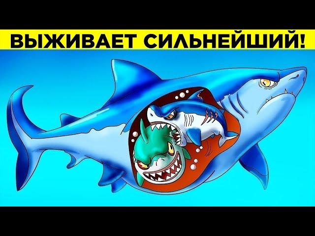 Худшие Родители Среди Животных