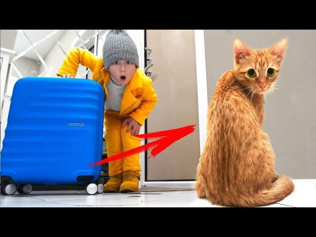 МАЛЕНЬКИЙ КОТЕНОК ОБИДЕЛСЯ на Сеню! Мы Больше НЕ ДРУЗЬЯ!? Видео про Котенка Голди