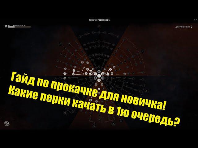 Какие перки прокачивать в 1ю очередь новичку. Stay out/Сталкер онлайн.