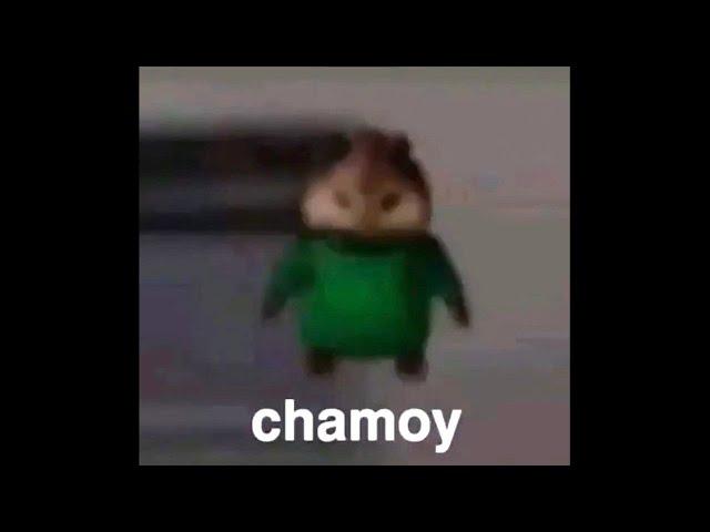 RISAS DEL DED XD