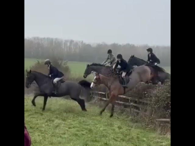 The Quorn Hunt Ladies Day last week was quite an occasion!