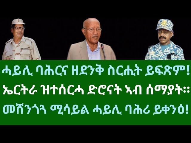 ሓይሊ ባሕሪ ኤርትራ ዘደንቅ ስርሒታት! ኤርትራ ዝተሰርሓ ድሮናት ኣብ ሰማያት ኤርትራ። ሰሉስ 17 ታሕሳስ 2024