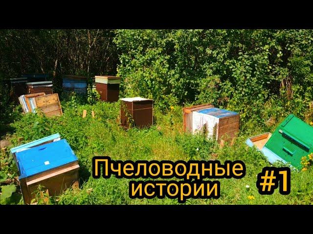 ХУЛИГАН РАЗНЁС УЛЬИ НА ПАСЕКЕ!!!