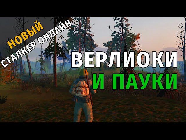 48. Верлиоки и пауки. Новый Сталкер Онлайн, СПБ сервер.