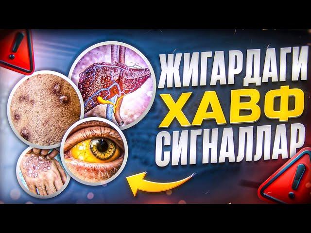 Jigardagi xavf signallar | Doktor Gulbahor