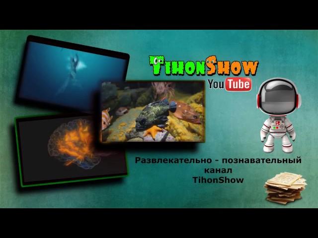 TihonShow | Тихон Шоу