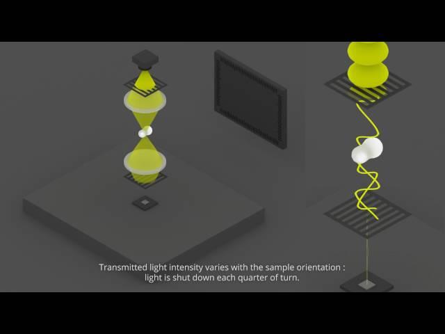 polarizing microscope