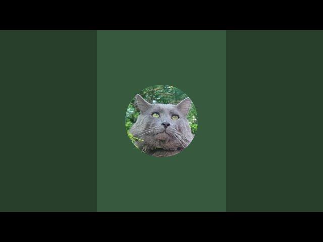 Nebelung (Нибелунг) is live!