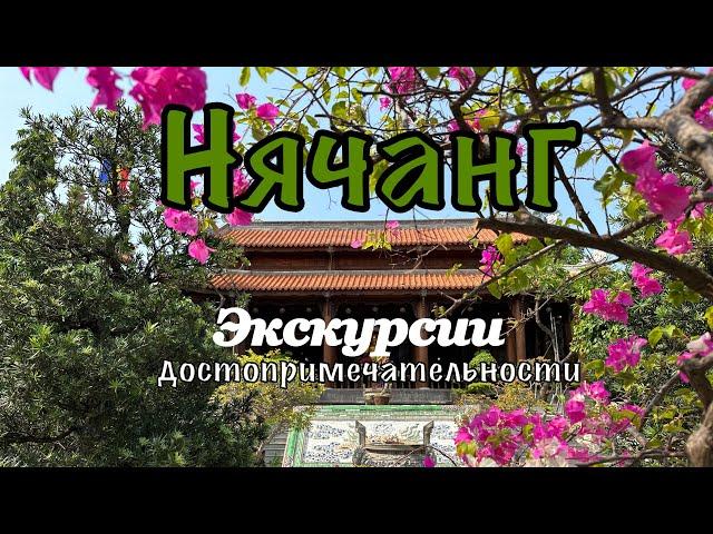 Вьетнам 2024. Цены на туры. Самый большой рынок Нячанга. #нячанг #travel