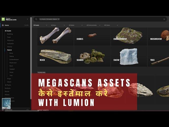 How To Use Megascans With Lumion 11  | Quixel Megascans