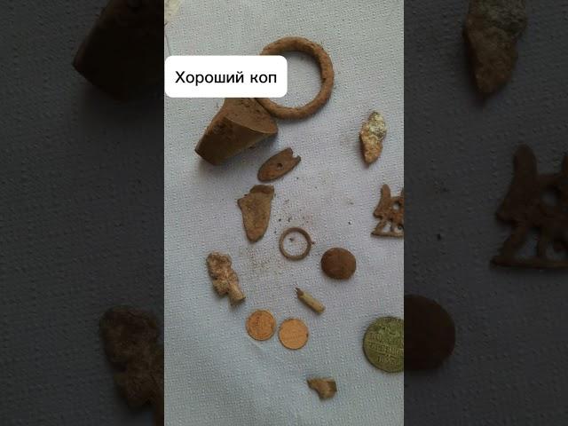 #коп #копмонет