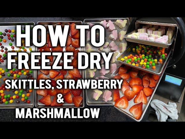 HOW TO FREEZE DRY SKITTLES, STRAWBERRIES & MARSHMALLOWS!