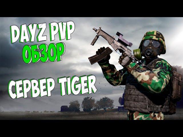 Dayz ОБЗОР PVP Сервера TIGER | ГОДНО?