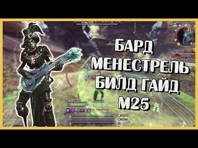 Бард Менестрель. Билд Гайд М25 | Neverwinter Online