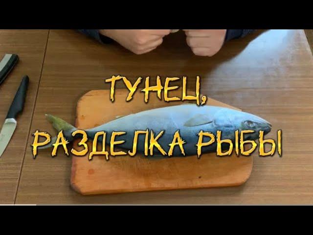  Тунец, разделка рыбы / Tuna, cutting fish / Тунець, обробка риби 