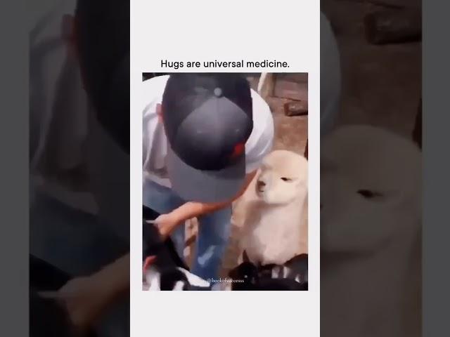 Hugs are universal medicine  #animals #kindness #goodway