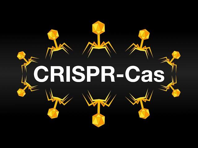 CRISPR-Cas: Иммунная Система бактерий и метод изменения генома (Анимация)