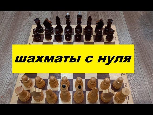 Как научиться играть в шахматы с нуля?