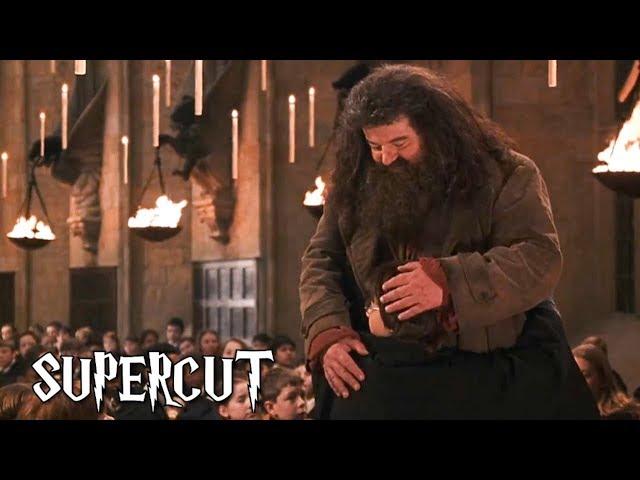 Harry Potter - Best of Hagrid