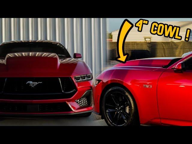My 2024 MUSTANG GOT A MAKEOVER FOR MUSTANG WEEK! NEW HOOD AND TINT!