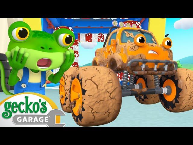 Max & Molly Mudbath | Gecko's Garage | Cartoons For Kids | Toddler Fun Learning