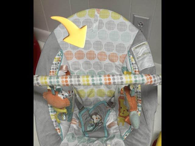 Review Bright Starts Comfy Baby Bouncer