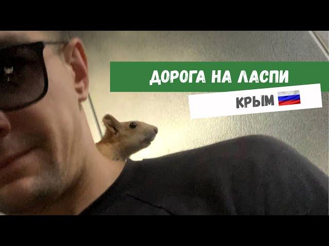 По дороге в Ласпи  #video