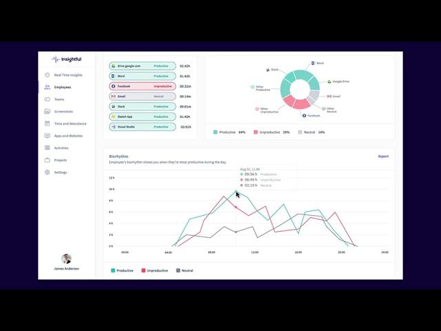 Insightful - Employee Productivity Analysis