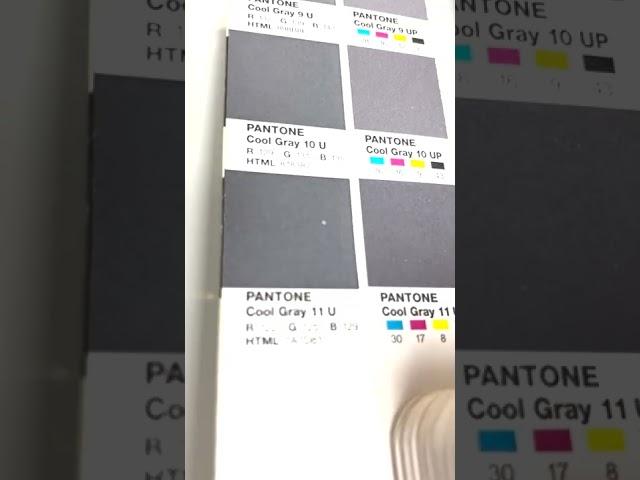 GRAY PANTONE AT PRECIOUS PACKAGING