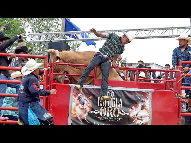 16 GANADERIAS CON SU MEJOR TORO Y SU MEJOR JINETE¡¡ torneó de La Ilusion en INDIANAPOLIS