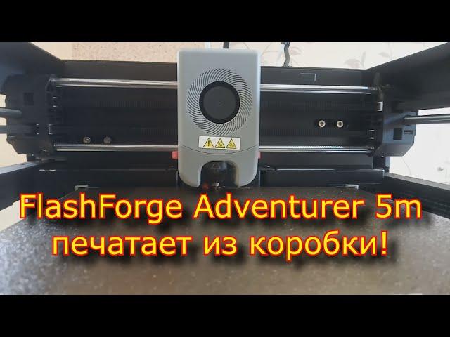 FlashForge Adventurer 5m , принтер, который печатает из КОРОБКИ!!!