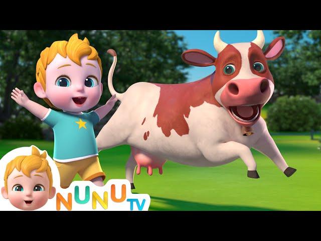 Moo Moo The Cow | Nursery Rhymes & Kids Songs | NuNu Tv