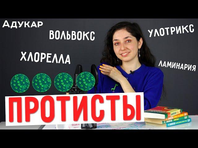 Протисты | Биология ЦТ, ЕГЭ