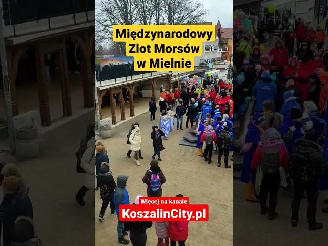 #Mielno #Mors #Morsy #Morsowanie #ZlotMorsow #Bałtyk #IceSwimming Więcej na @koszalincity