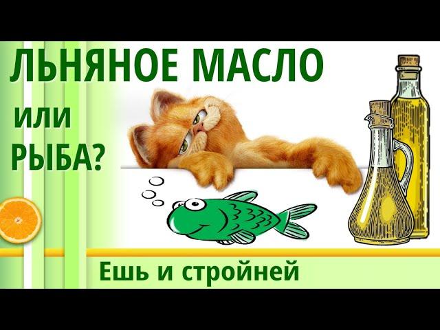 Льняное масло или рыбий жир? Что выбрать? Льняное масло польза и вред для похудения