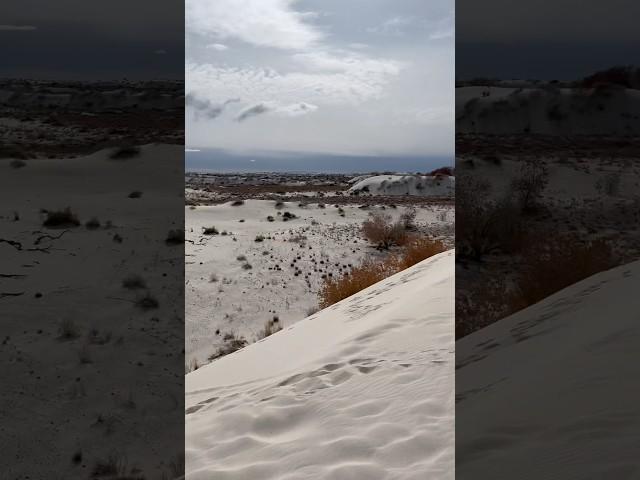 Cant believe this was bottom of  the ocean#whitesands #whitesandsnationalpark #nationalpark #ocean