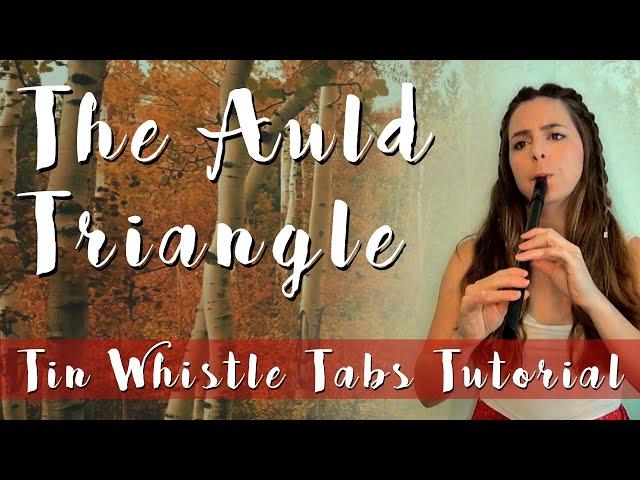 The Auld Triangle - Irish Music | Tin Whistle Cover & Tabs Tutorial