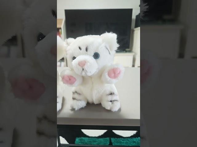하핑#큐리^ #인형계 #baby #cute #브이로그