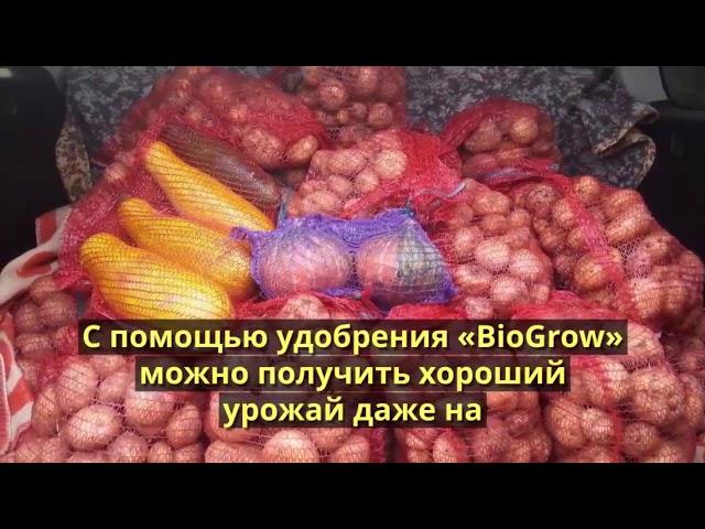 внесение органических удобрений в почву