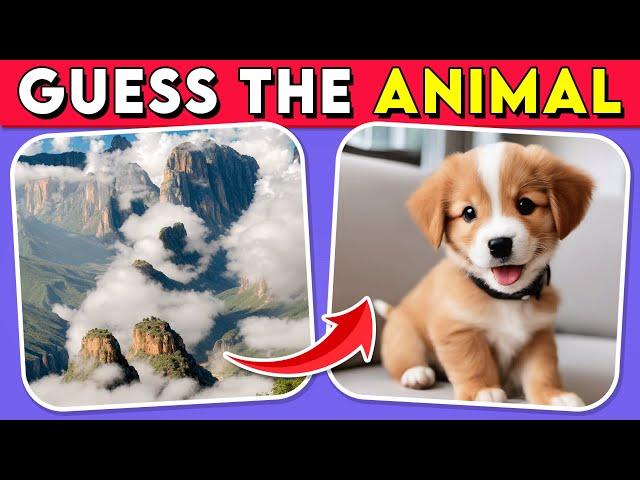 Guess the Hidden Animal by ILLUSION  Easy, Medium, Hard Levels