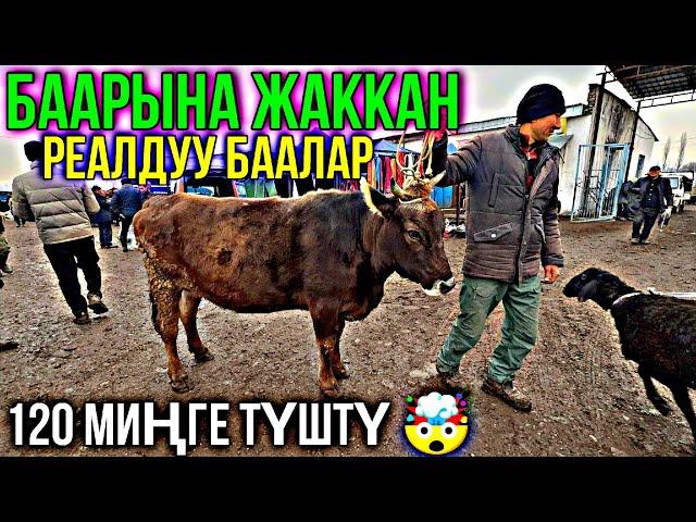 ОХО БАЗАРДЫ КЫРДЫГО АГЫП ЧЫГЫП АТАТ ️‍ #байтв