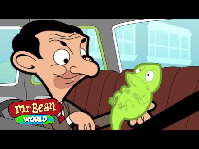 Mr Bean's Lizard Friend! | Mr Bean Animated Cartoons | Mr Bean World