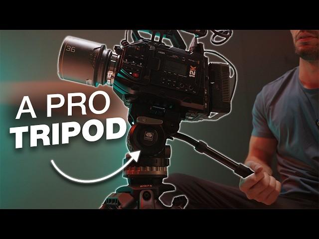 A CHEAP Tripod That's ACTUALLY GOOD