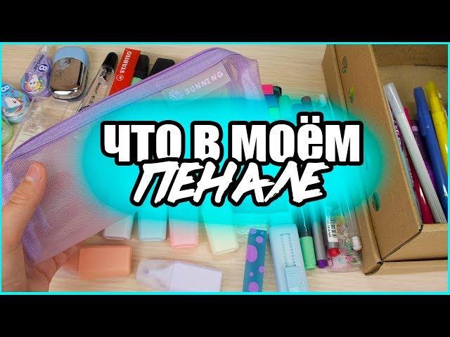 ЧТО В МОЁМ ПЕНАЛЕ 2019 СОБИРАЮ ПЕНАЛ В ШКОЛУ BACK TO SCHOOL регина маг