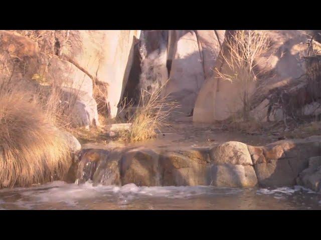 Madera Canyon in southern Arizona is hikers' paradise