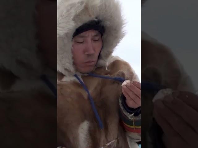  Как коренные жители Крайнего Севера восполняют дефицит витаминов