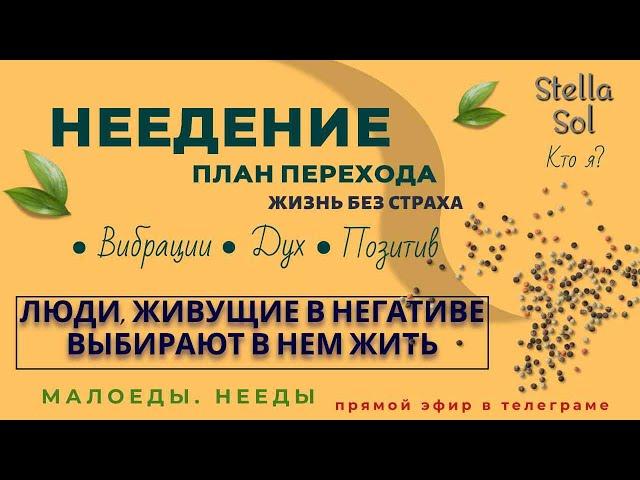 Неедение | Ответы На Вопросы [достойный эфир] #высокиевибрации #неедение #ясновидение  #установки